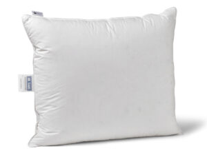 Hoofdkussen Excellent 3 kamers 90% Gans 60 X 70