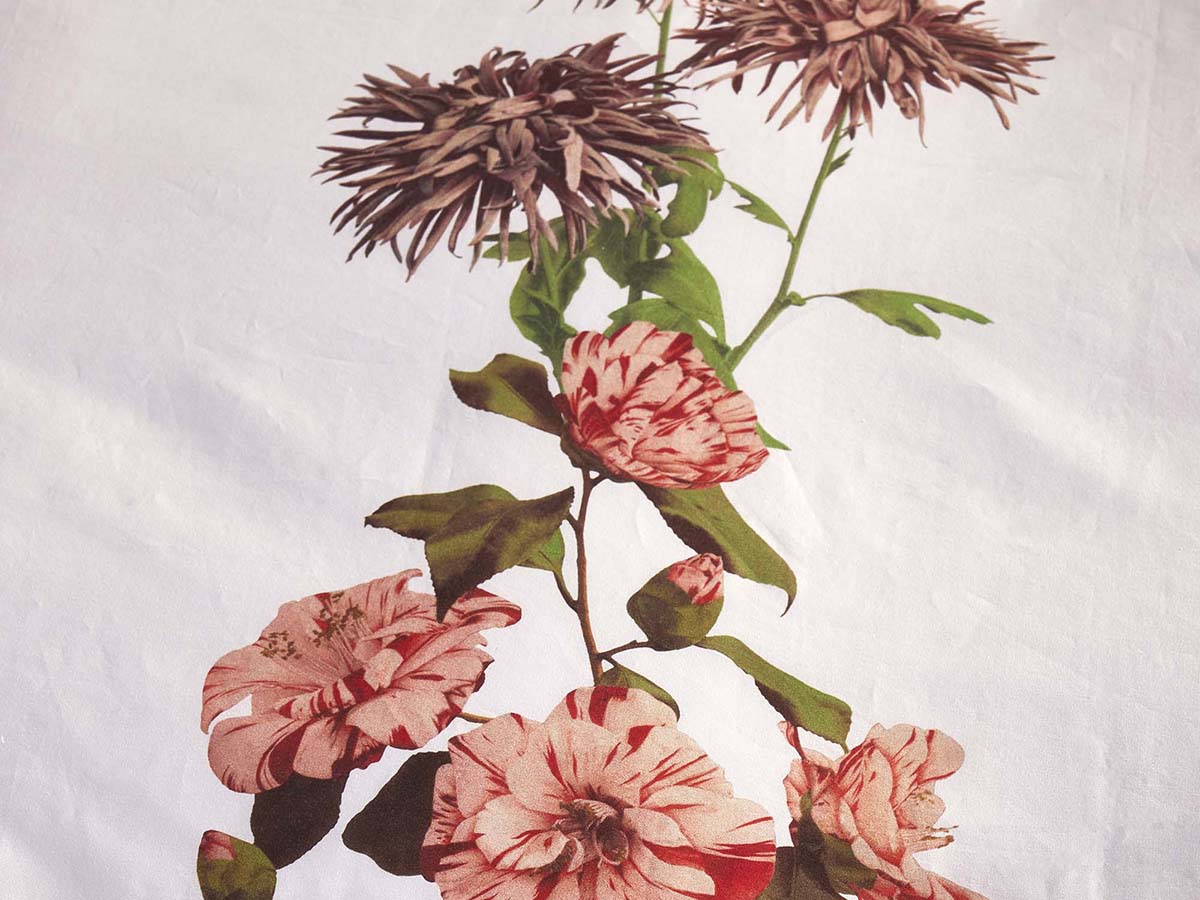 Dorena Duvet cover White 2p set 240x220+2/60x70 - Afbeelding 3