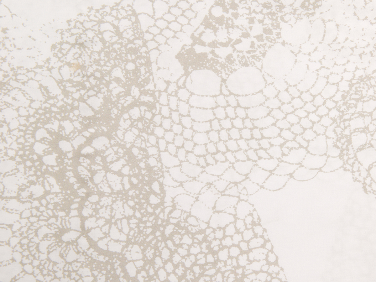 DBO Phyton 510 wit 240 x 200/220 cm - Afbeelding 3