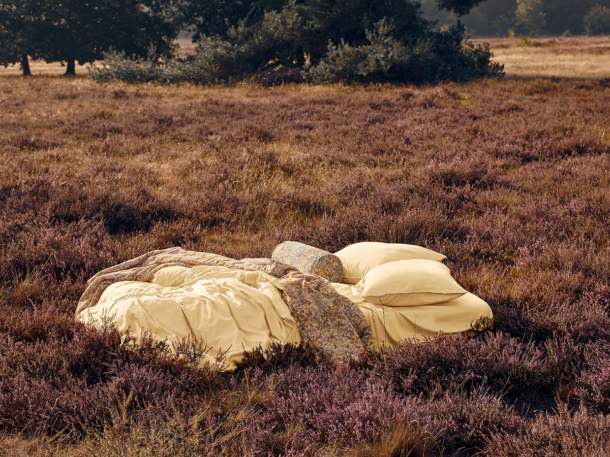 Minte Duvet cover Yellow straw 2p set 240x220+2/60x70 - Afbeelding 2