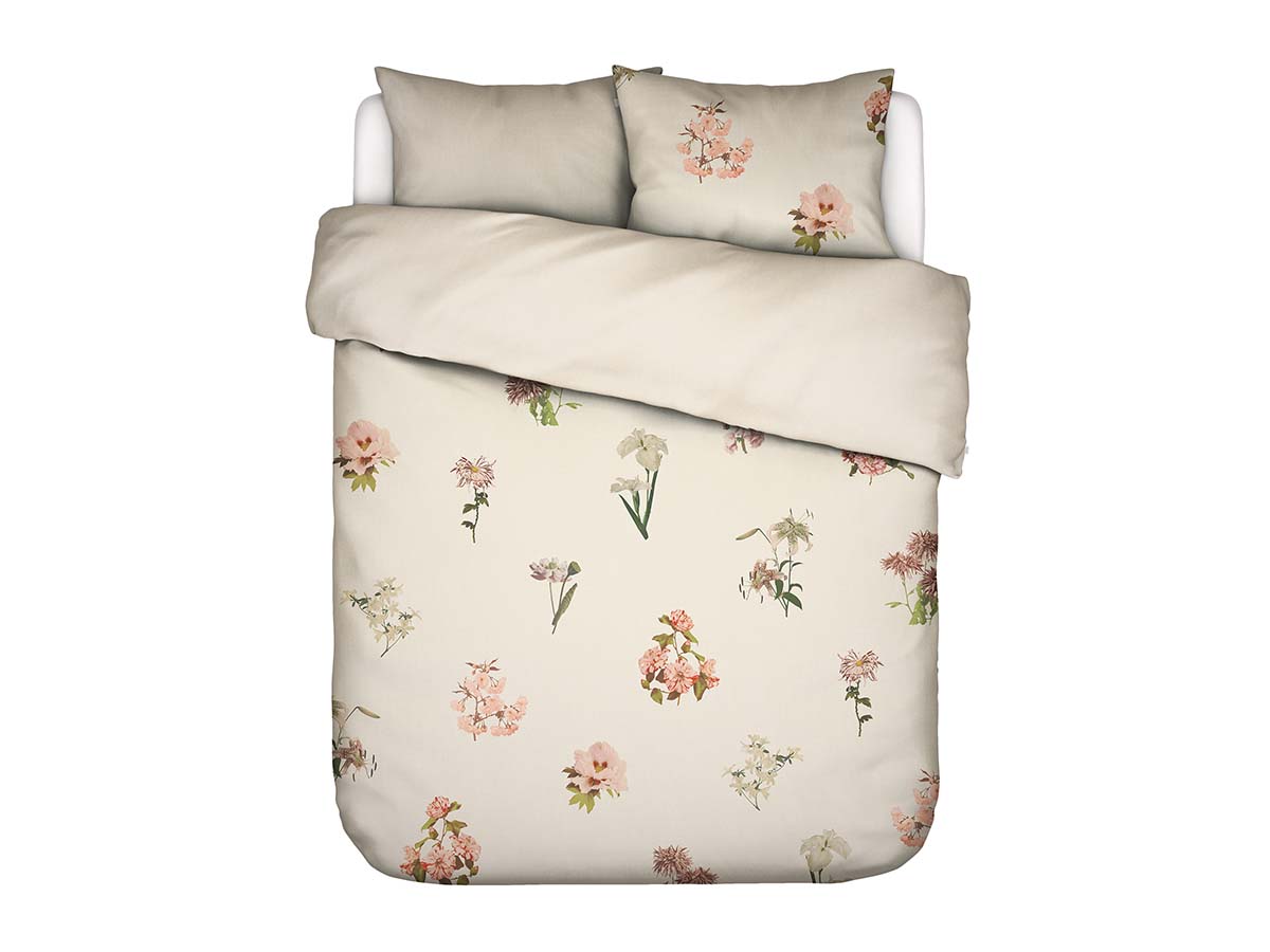 Annebella Duvet cover Vanilla 2p set 240x220+2/60x70