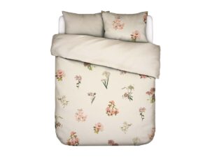 Annebella Duvet cover Vanilla 2p set 240x220+2/60x70