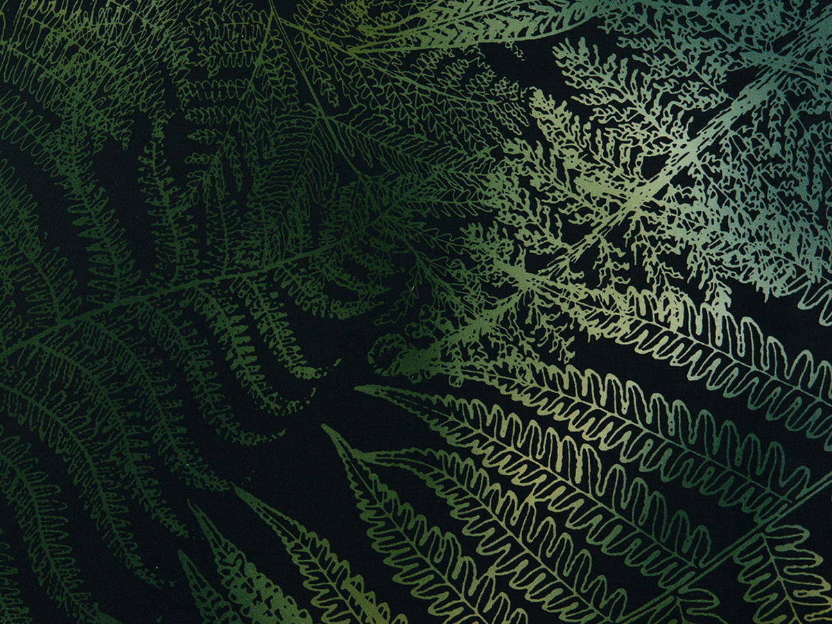 Dommelin Dekbedovertrek Verde 100% Katoen Satijn - Green | 140x200/220 cm + 1 kussensloop - Afbeelding 2